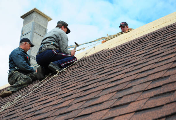 Best Commercial Roofing Services  in Enfield, NC