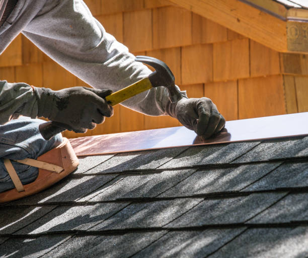 Best Roof Gutter Cleaning  in Enfield, NC